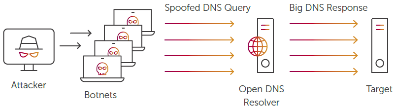 An example of a DNS FLOOD DDoS attack.
