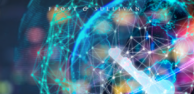 Service Provider Requirements for DDoS Mitigation
