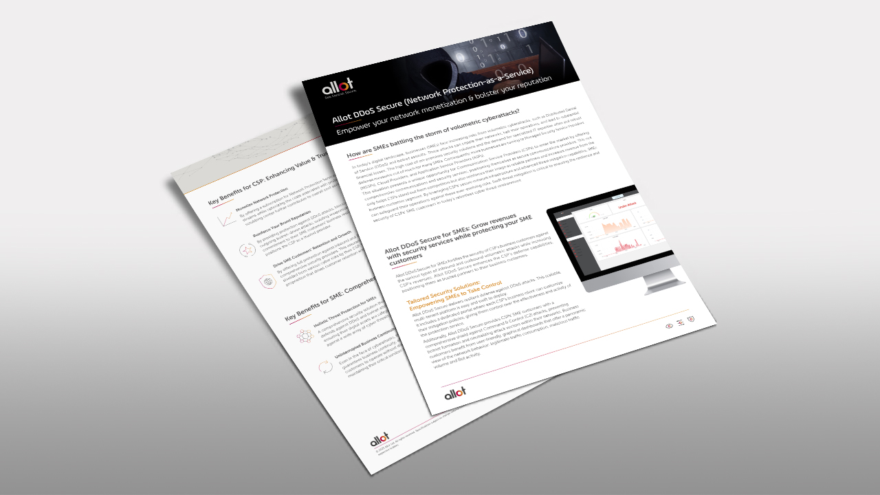 DDoS Secure Brochure