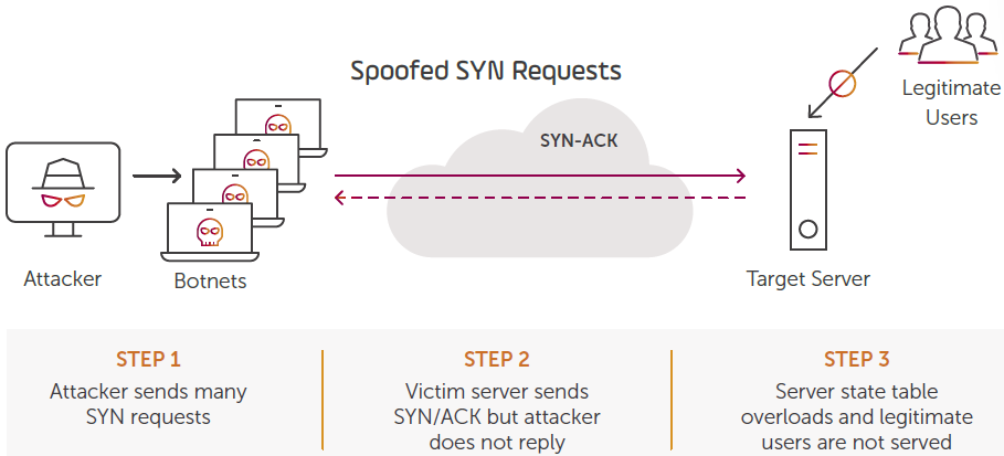 An example of a SYN FLOOD DDoS attack.