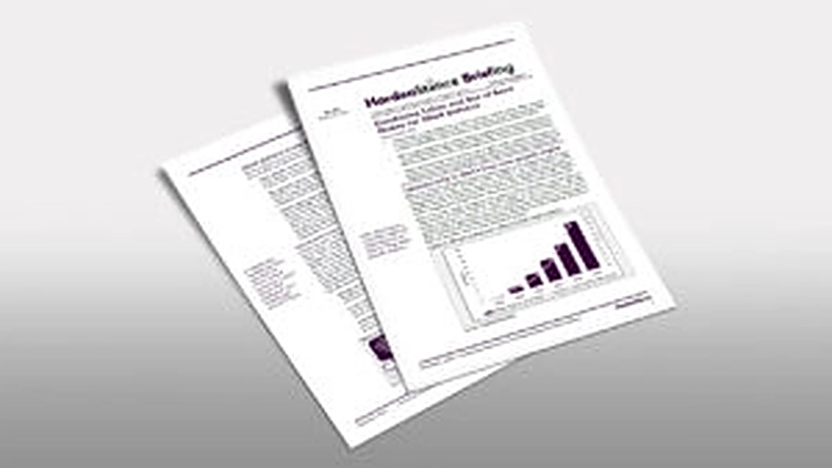 Whitepaper cover: HardenStance DDoS defence briefing